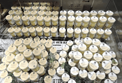 AFp8lLwE1ToKM8rlmDbr.png?w=940&h=940