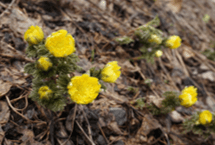 AFytbi6PV0HM6kyv5BcV.png?w=940&h=940