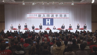 AHtcz5nkYBLinSKXqxKa.jpg?w=940&h=940