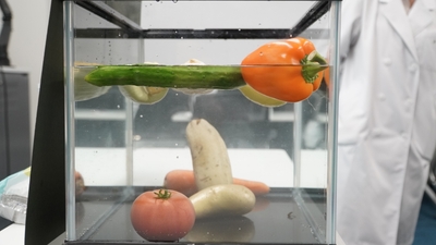 AI9blEiYJen8njS55Xwx.jpg?w=940&h=940