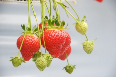 AIIZGJoudVGtImjnhWMf.jpg?w=940&h=940