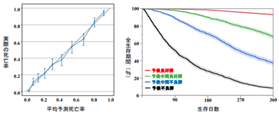 （図1）実際の患者死亡率とAIが予測する平均死亡率の関係性（左）、（図2）AIが予測する死亡率における全生存期間の分類（右）