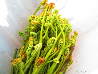 AJ2gnJdzS2g6N9OBXEU2.jpg?w=940&h=940