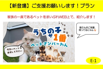 AJpyza8vI5quqCter9uy.jpg?w=940&h=940