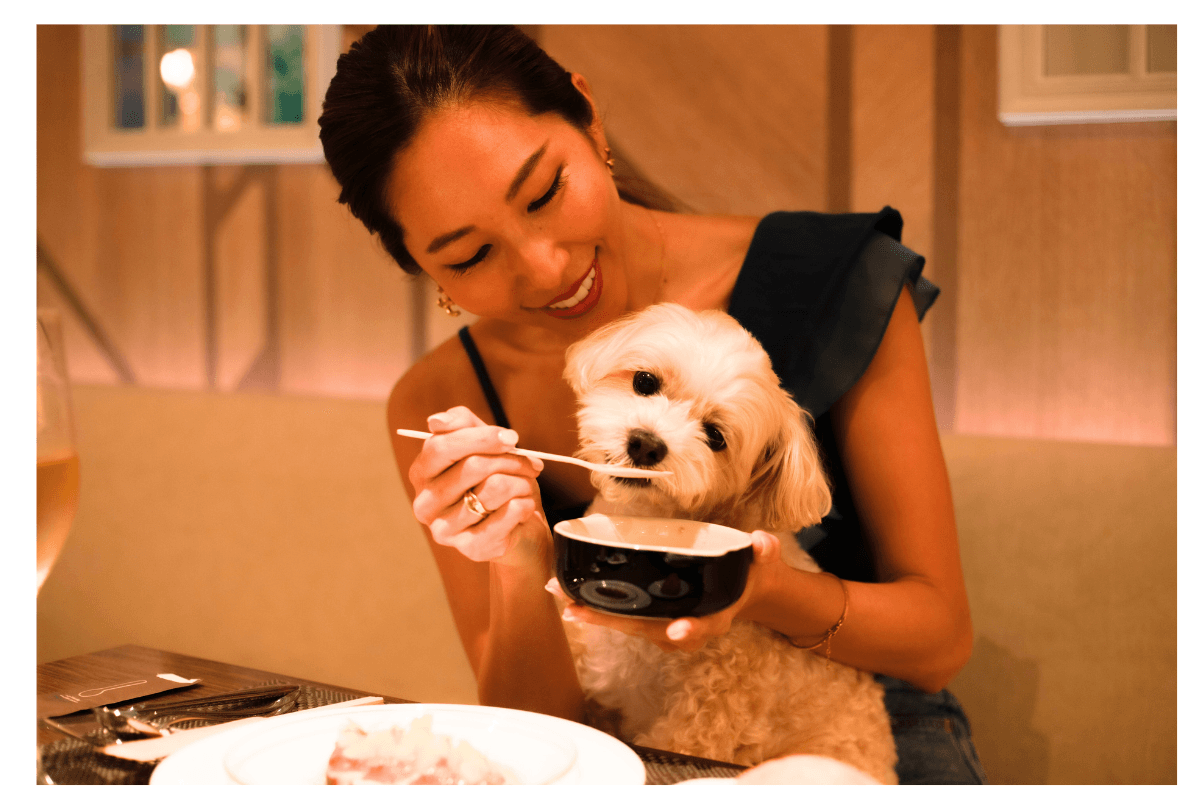 フォレストヒルズ那須 愛犬とディナー