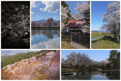 AKsa9CmJjuvR5t4wmBGR.jpg?w=940&h=940