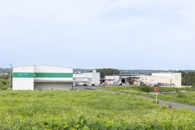 AL8mVELiPRaySiriIDji.jpg?w=940&h=940