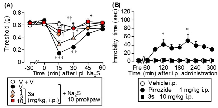 図2 新規ピモジド誘導体3sは、(A)Na2S誘発性アロディニアを抑制し、(B)カタレプシー反応を惹起しなかった。