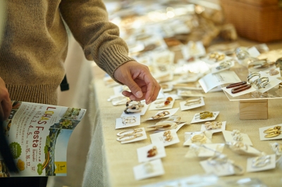 ALjdznqbjLEBHquQ6CRM.jpg?w=940&h=940