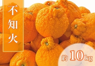 AMP9sHMxqHfzifPpVZHi.jpeg?w=940&h=940