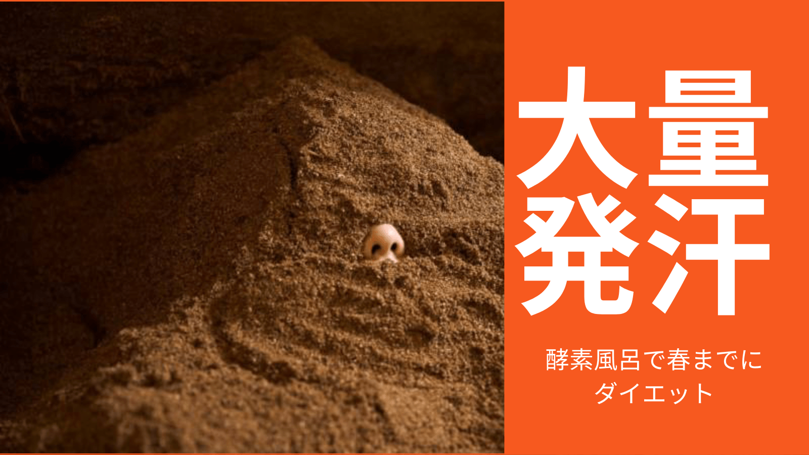 もうすぐ春です！！薄着の季節です！！冬の間に贅肉ためこんでいませんか？芸能人にも人気の酵素風呂で春が来る前にダイエット。