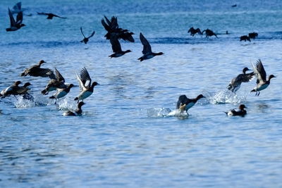 APOjv7Wr2XSF4xYmqrcQ.jpg?w=940&h=940