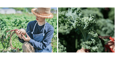 AQHyGoU1SuWyX4Hl3KsX.png?w=940&h=940