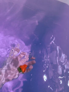 AR7pOPGNGA7WNXBpeVUP.jpg?w=940&h=940