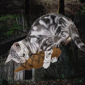 AS6RrmQNaj6t7kikOW4A.jpg?w=940&h=940