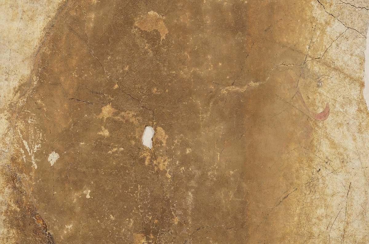 【画像2】青龍図像の可視光写真 2023年11 月