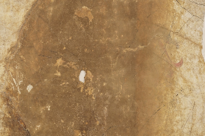 【画像2】青龍図像の可視光写真 2023年11 月