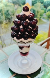 創業70年の老舗青果卸が贈る、希少品種（通称黒いシャインマスカット）「マスカットノワール」を贅沢に使用したフルーツパフェを9月1日より提供開始！