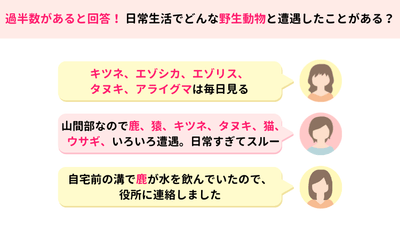 AUVBm2zLkUglN2jEyFRL.png?w=940&h=940