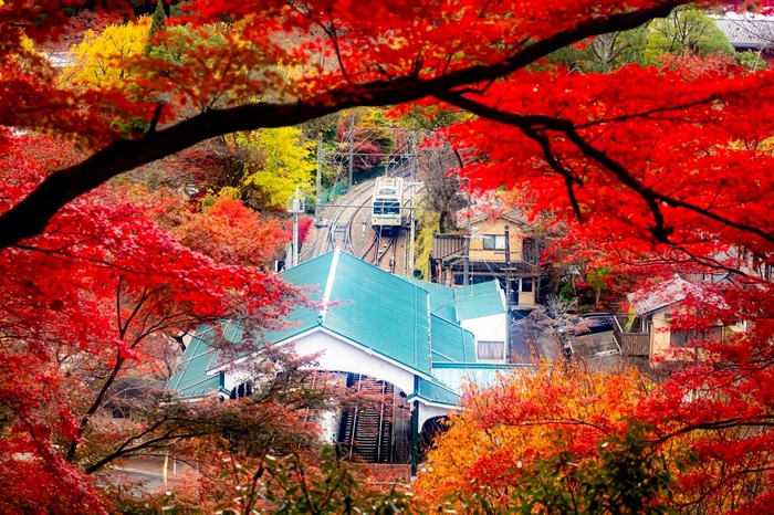 悠久の風フォトコンテスト2023「悠久の風賞」作品