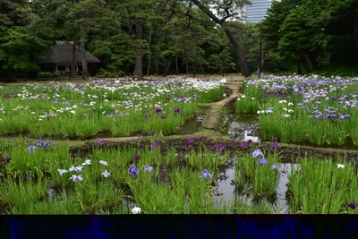 AVdnXugHlpxsrqWpzYEy.jpg?w=940&h=940