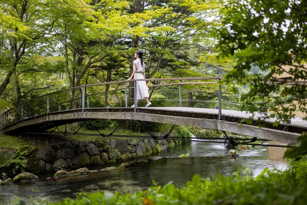 【星のや軽井沢】1日1組限定 散歩を楽しみ、涼菓を味わうプログラム「緑陰散歩」実施|期間:2022年6月1日~8月31日
