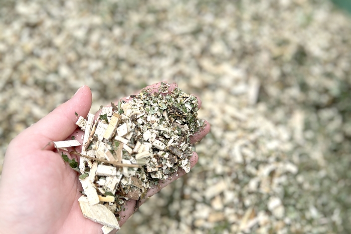 クロモジを粉砕したチップ