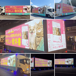 AX5T5HR9dSeXKDDZfoVM.png?w=940&h=940