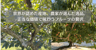 AX9rDQED1FJi8TMqgxJA.png?w=940&h=940