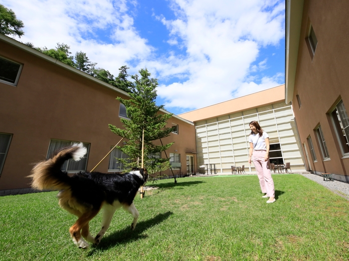 中庭ドッグランの木もツリーに変身予定