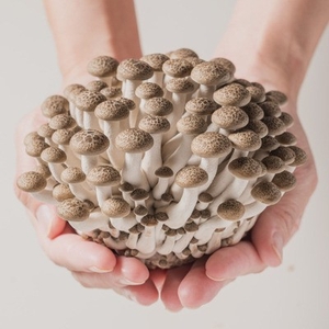 AZnNXb1FKhTBXnMdpcuj.jpg?w=940&h=940