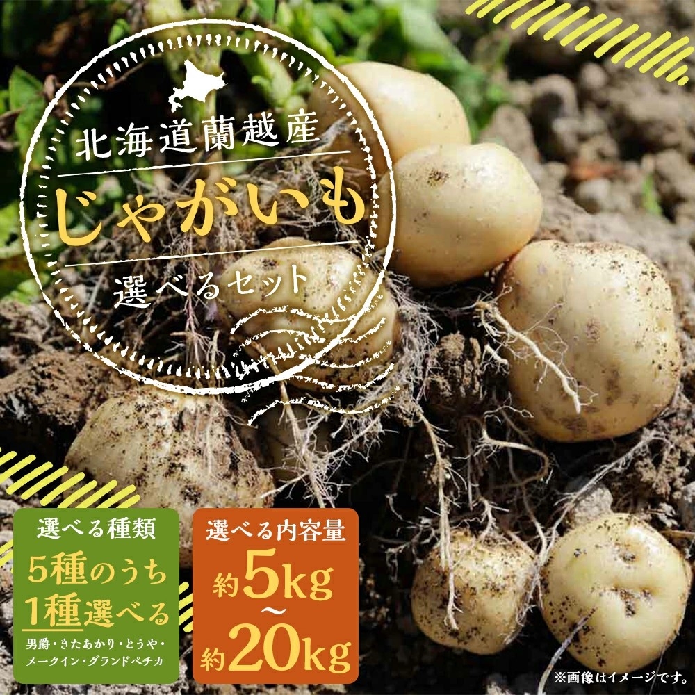 【北海道蘭越町ふるさと納税】期間限定!種類と容量が選べる北海道蘭越産じゃがいもが受付中