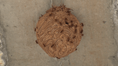 AaRFCOnpvx45BZPgEMRJ.png?w=940&h=940