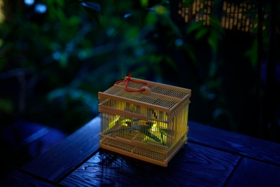 AazyMnR257RksPStOYrs.jpg?w=940&h=940