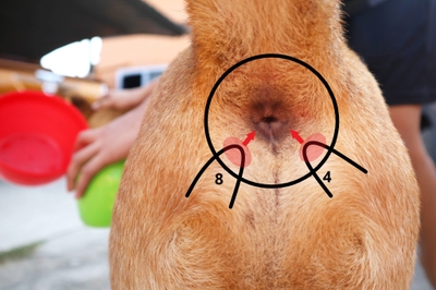 AdSkLiKN6m0Y4Vk2nGpY.jpeg?w=940&h=940