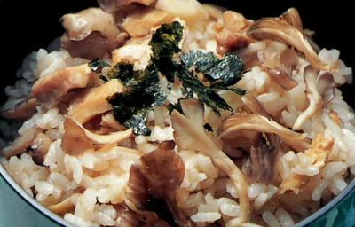 AdjNGu0eGovK0scFCG31.jpg?w=940&h=940