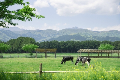 AeNfkiukjxDVy67WQNgK.jpg?w=940&h=940