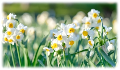 AfN35PFC3bnxkJuBGGj9.jpg?w=940&h=940