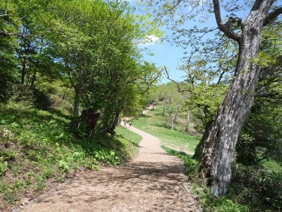 AfiHsDkaF0zQCMgsSBhc.jpg?w=940&h=940