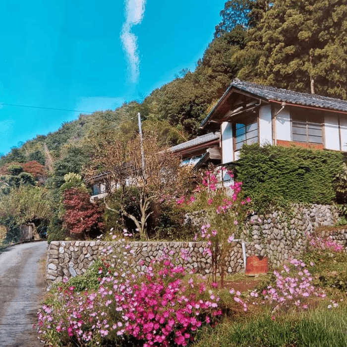 コミュニティカフェの花々