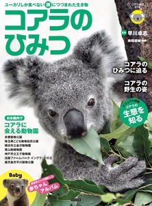 『コアラのひみつ』書影