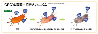 AhbadkjVPdjZyOz6HJHS.jpg?w=940&h=940