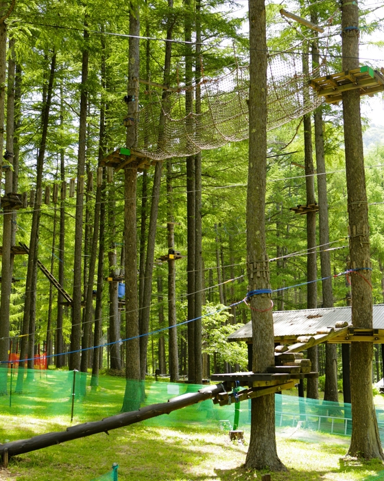 ツリーアドベンチャー