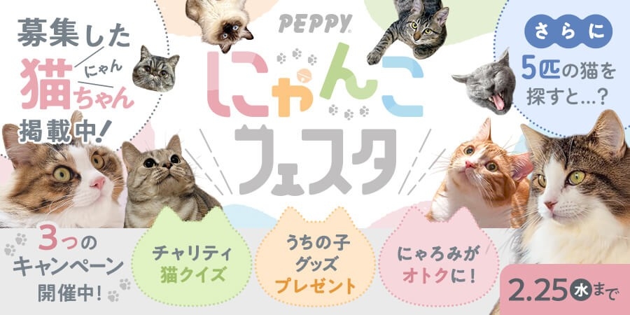 【2/25まで】2月のペピイは猫まみれ！？「PEPPYにゃんこフェスタ」を開催！