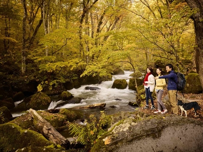 AjbvbLKImHnNVYND42Le.jpg?w=940&h=940