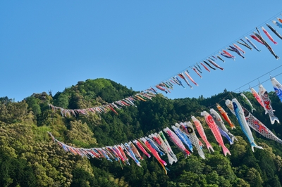 Ajw2O4PBSoIEoot1w8pk.jpg?w=940&h=940