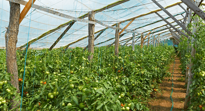 AnwI0PHroLUMepUdVpTM.png?w=940&h=940