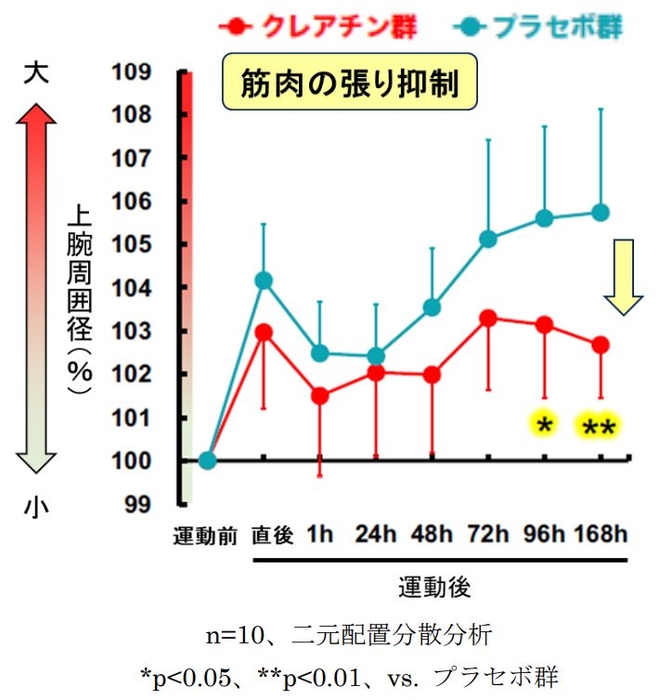 図2 運動後の筋肉の張りに対する クレアチンの効果