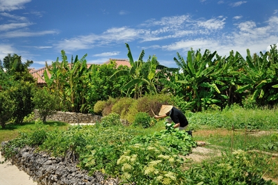 Aoh03FZM4T6TZXnNG1ej.jpg?w=940&h=940