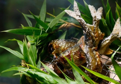 As49YUJvY1FZN9WdmSd3.jpg?w=940&h=940